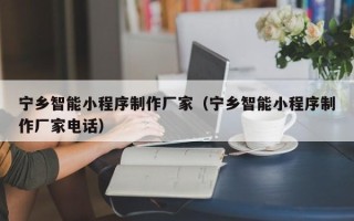 孟州宁乡智能小程序制作厂家（宁乡智能小程序制作厂家电话）